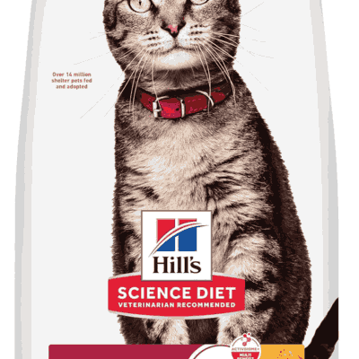 Hill’s Science Diet Adult Dry Cat Food