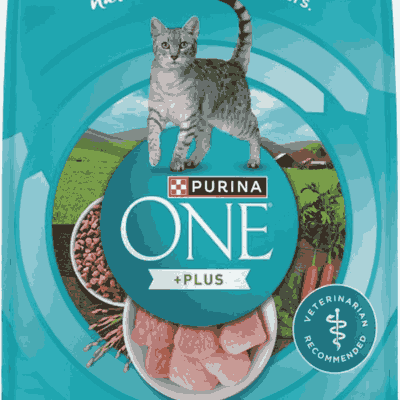 Purina ONE Indoor Advantage Hairball Control