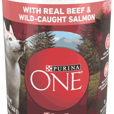Purina ONE True Instinct Tender Cuts in Gravy