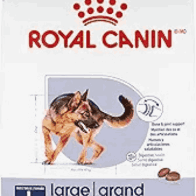 Royal Canin Large Breed Adult Dry Dog Food