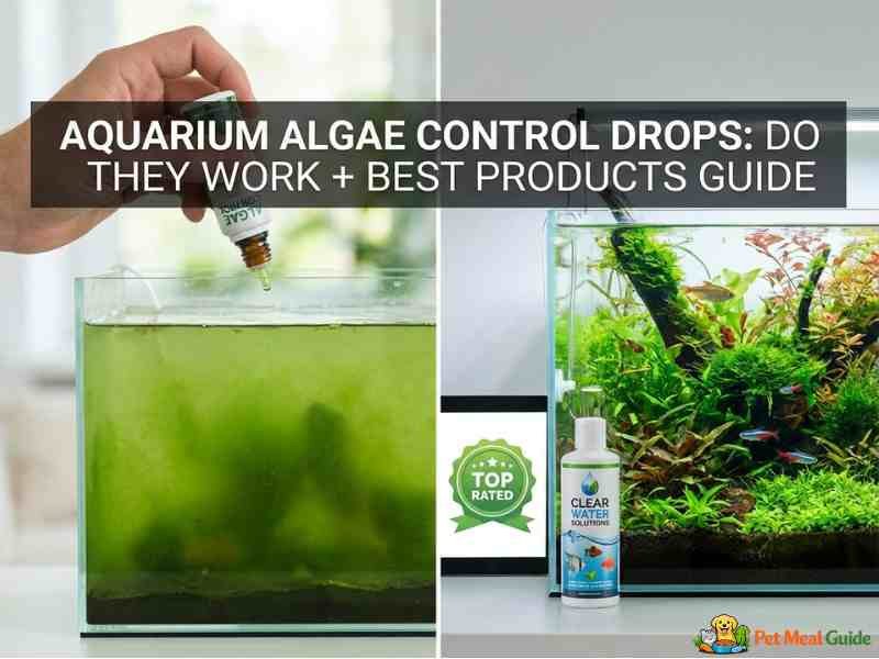 Aquarium Algae Control Drops (Do They Work + Best Products Guide)