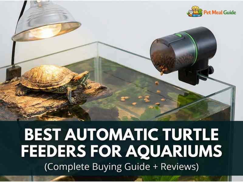 Best Automatic Turtle Feeders for Aquariums (Complete Buying Guide + Reviews)
