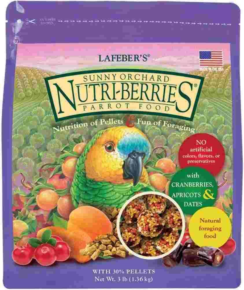 Best Bird Food