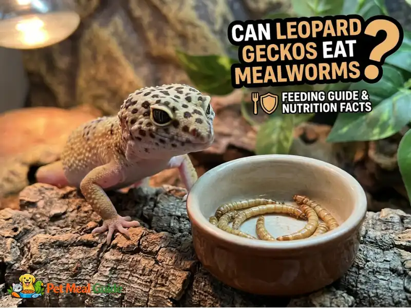 Can Leopard Geckos Eat Mealworms? (Feeding Guide & Nutrition Facts)