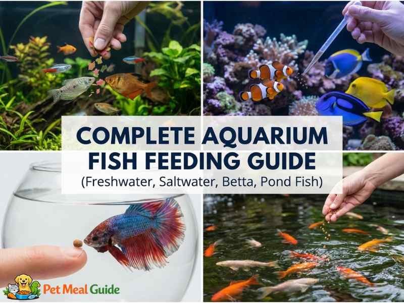 Complete Aquarium Fish Feeding Guide (Freshwater, Saltwater, Betta, Pond Fish)