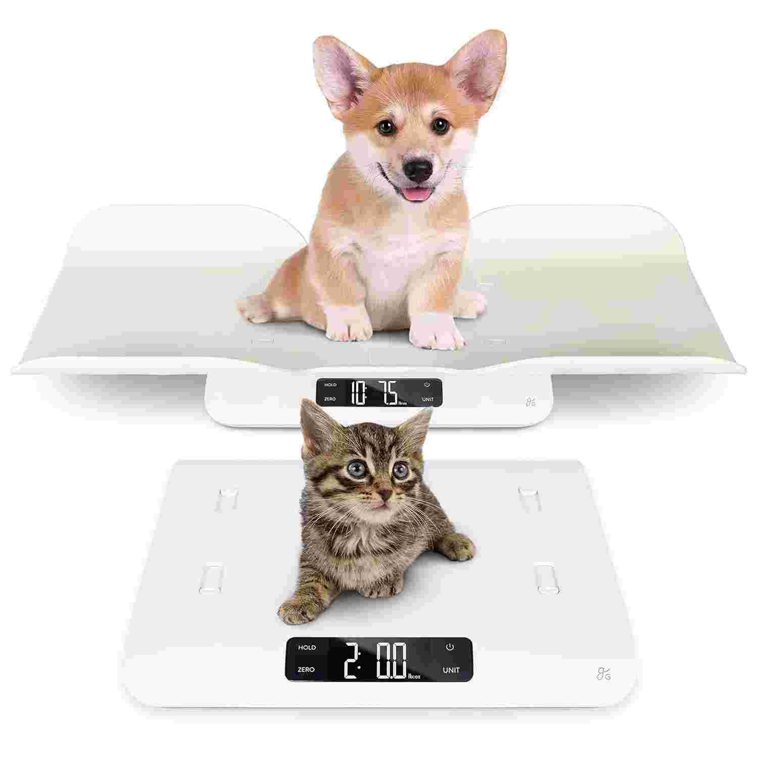 Digital Pet Food Scale