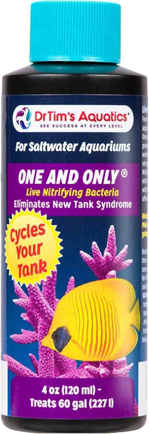 Dr Tim's One and Only