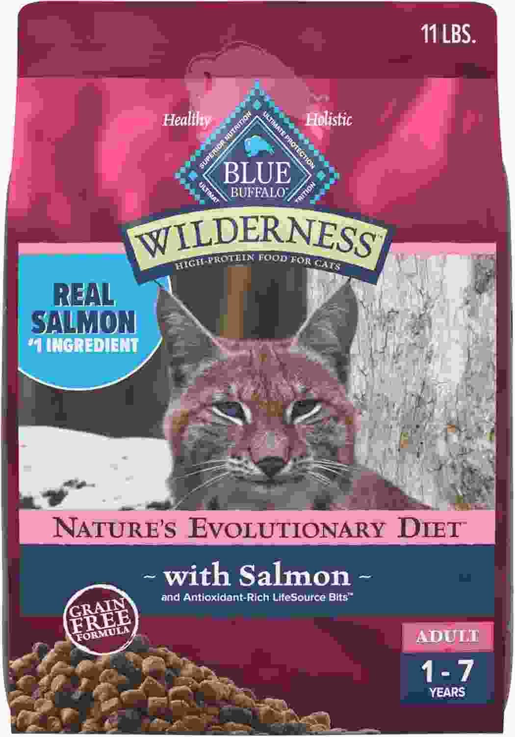 High Calorie Cat Food for Senior Cats