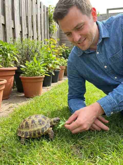 Person interacting safely with a pet turtle