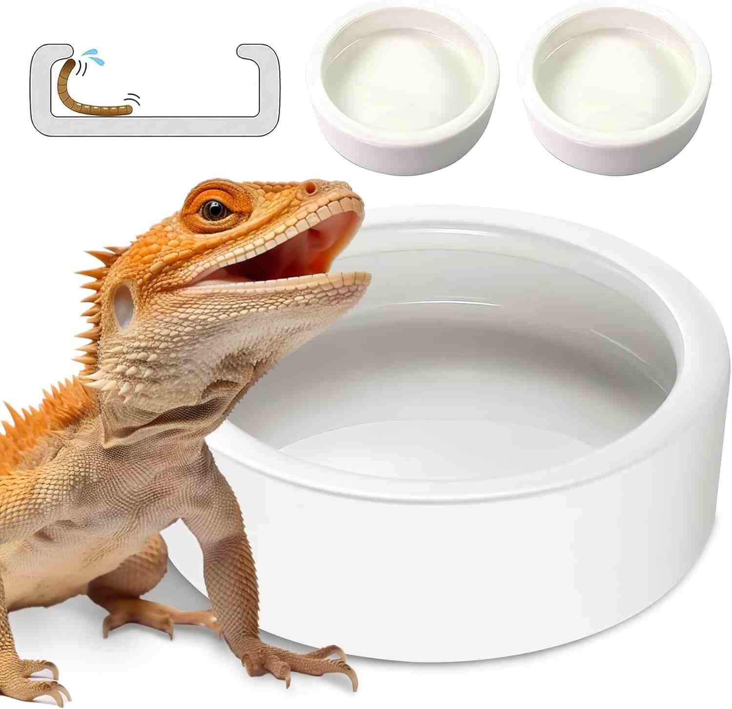 Escape-Proof Reptile Worm Dish