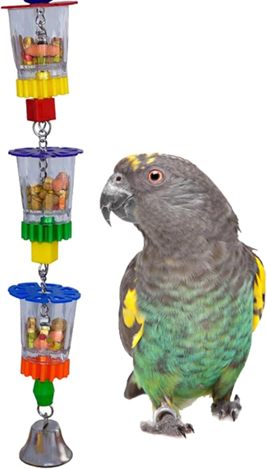 Cockatoo Foraging Toys