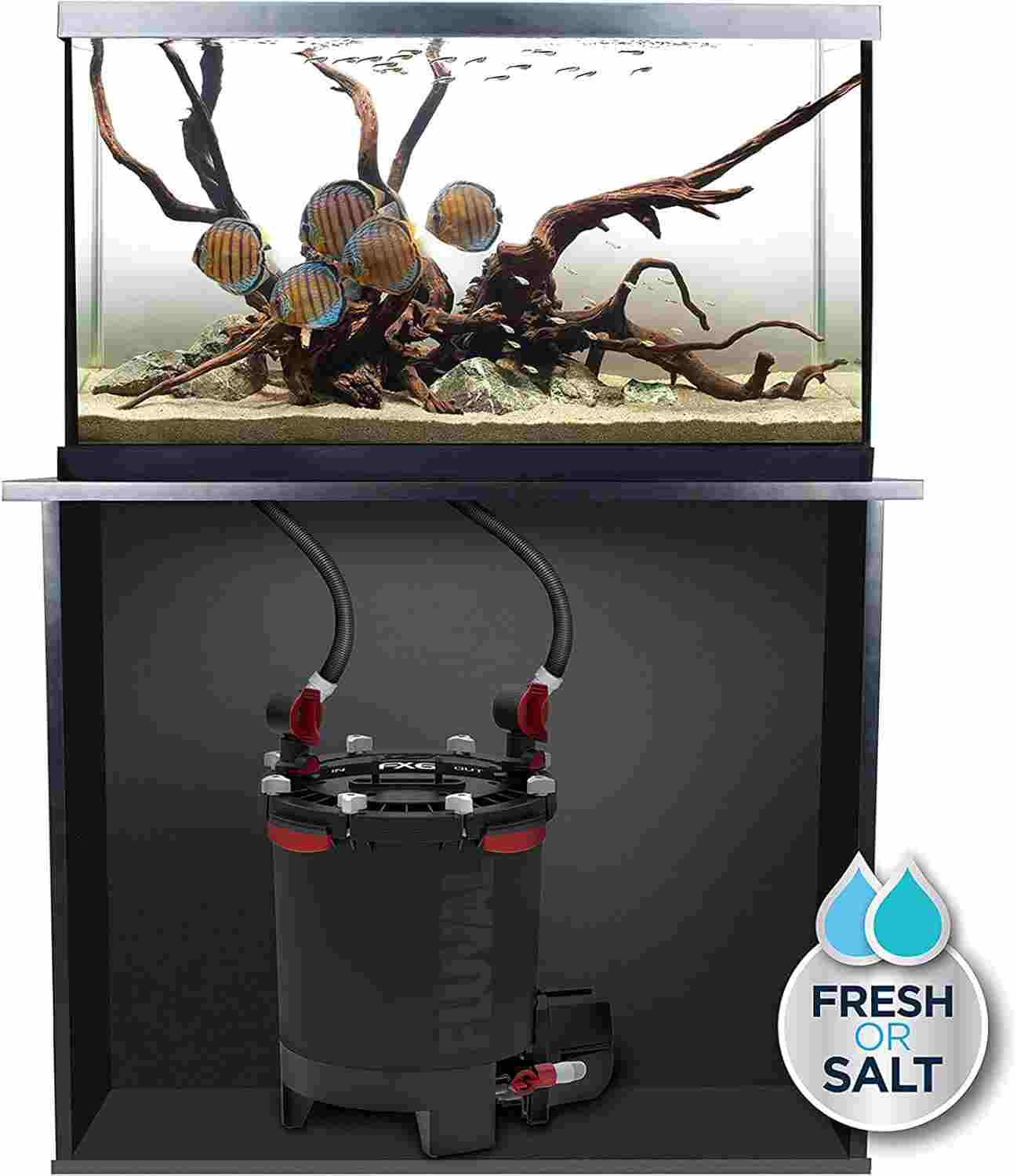 Canister filter connected to aquatic turtle tank