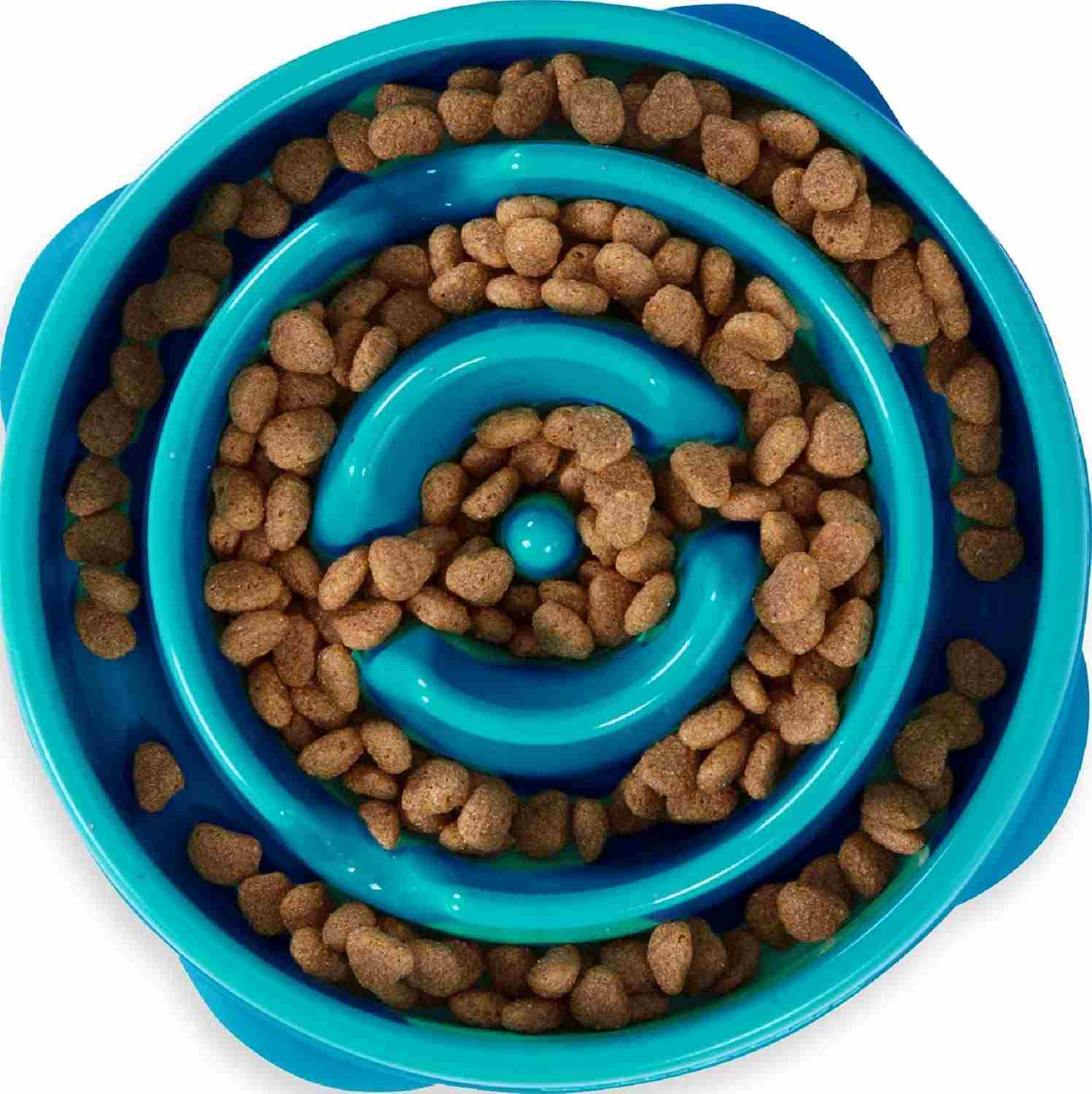 Outward Hound Slow Feeder Bowl